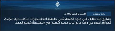 isis amaq statement