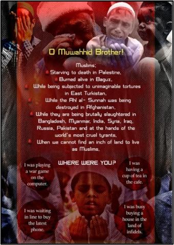 isis mag infographic 4: O Muwahhid Brother !
