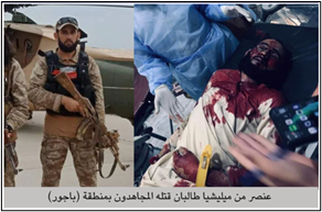 isis al-naba 445 member of taliban militia killed
