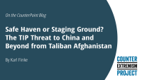 cep blog safe haven or staging ground